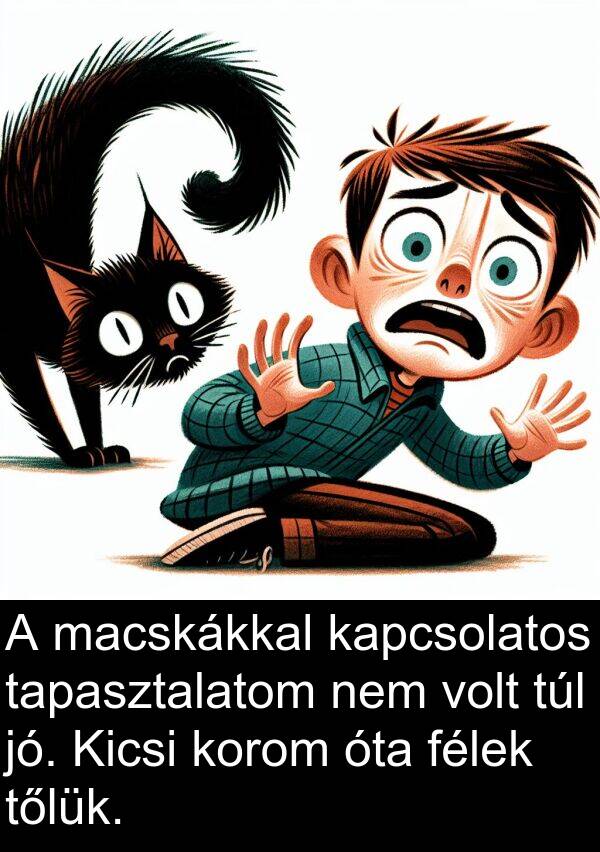 macskákkal: A macskákkal kapcsolatos tapasztalatom nem volt túl jó. Kicsi korom óta félek tőlük.