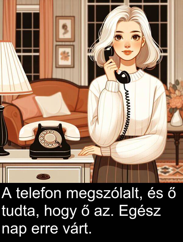 az: A telefon megszólalt, és ő tudta, hogy ő az. Egész nap erre várt.