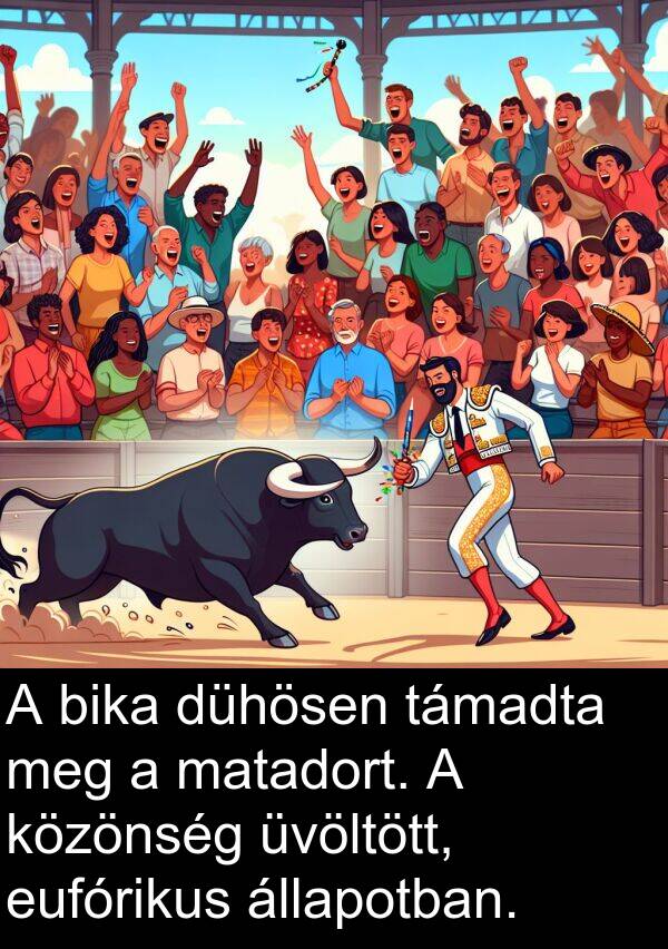 dühösen: A bika dühösen támadta meg a matadort. A közönség üvöltött, eufórikus állapotban.