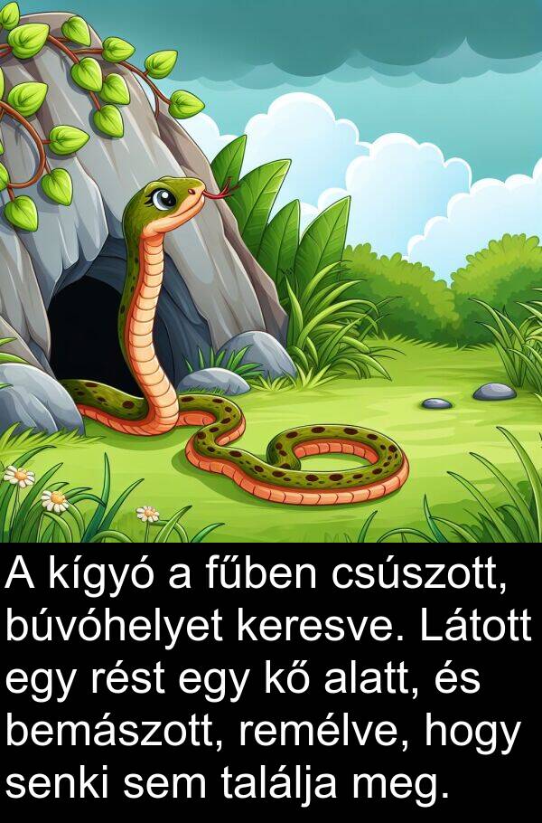 csúszott: A kígyó a fűben csúszott, búvóhelyet keresve. Látott egy rést egy kő alatt, és bemászott, remélve, hogy senki sem találja meg.