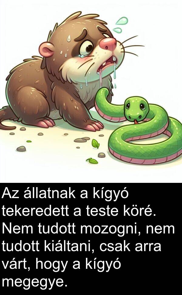 megegye: Az állatnak a kígyó tekeredett a teste köré. Nem tudott mozogni, nem tudott kiáltani, csak arra várt, hogy a kígyó megegye.