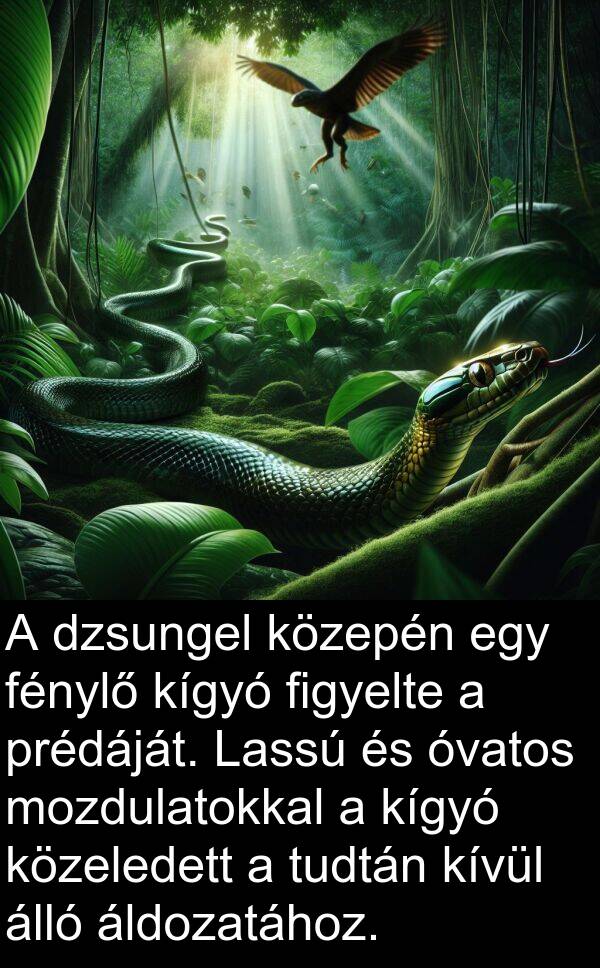 dzsungel: A dzsungel közepén egy fénylő kígyó figyelte a prédáját. Lassú és óvatos mozdulatokkal a kígyó közeledett a tudtán kívül álló áldozatához.