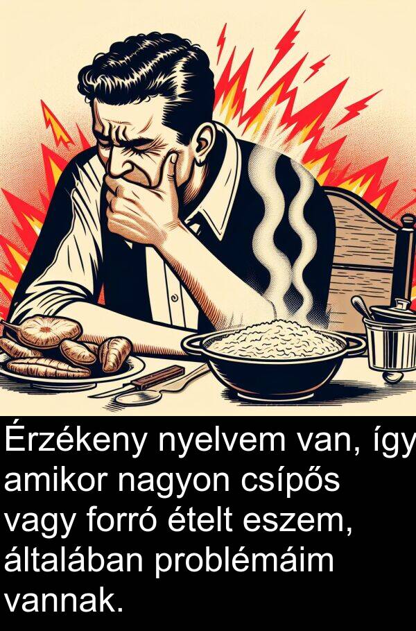 vagy: Érzékeny nyelvem van, így amikor nagyon csípős vagy forró ételt eszem, általában problémáim vannak.
