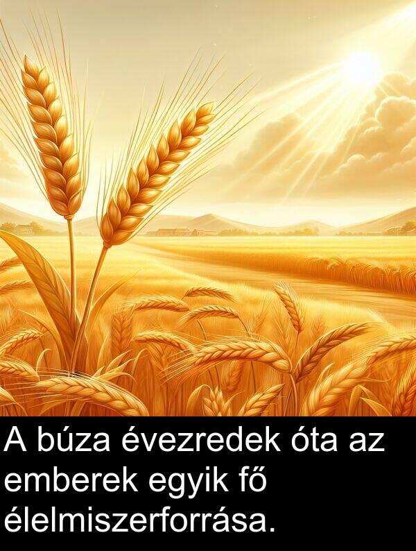 óta: A búza évezredek óta az emberek egyik fő élelmiszerforrása.