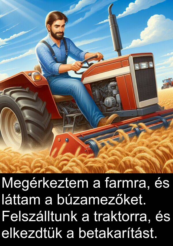 traktorra: Megérkeztem a farmra, és láttam a búzamezőket. Felszálltunk a traktorra, és elkezdtük a betakarítást.