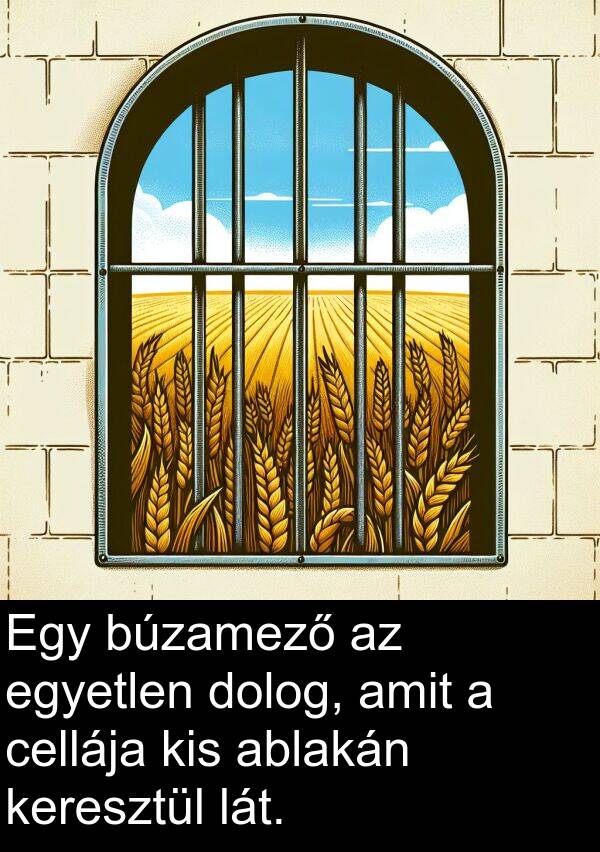 ablakán: Egy búzamező az egyetlen dolog, amit a cellája kis ablakán keresztül lát.