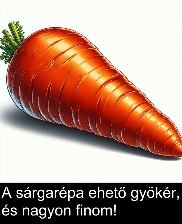 sárgarépa: A sárgarépa ehető gyökér, és nagyon finom!