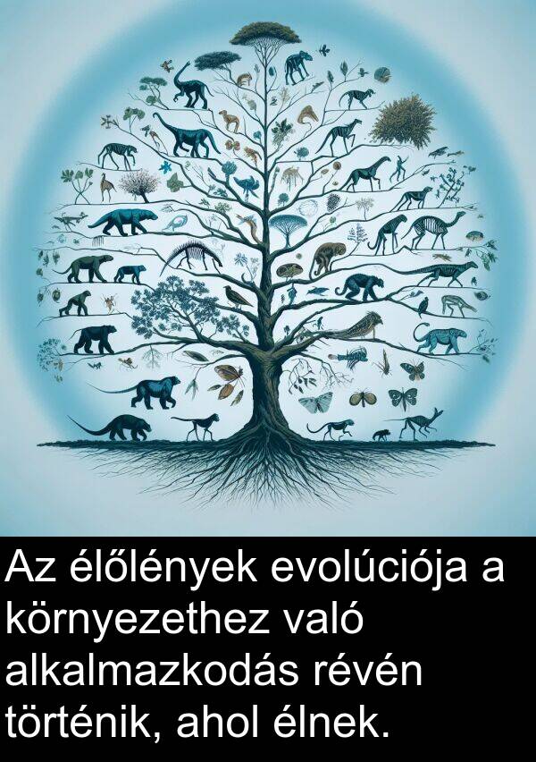 alkalmazkodás: Az élőlények evolúciója a környezethez való alkalmazkodás révén történik, ahol élnek.