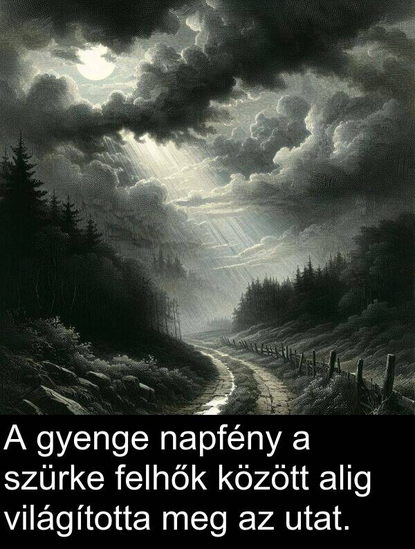 napfény: A gyenge napfény a szürke felhők között alig világította meg az utat.