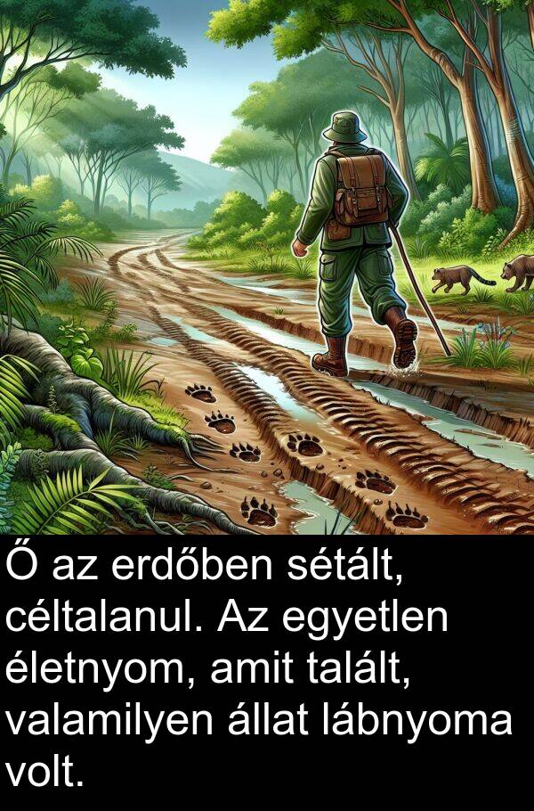 céltalanul: Ő az erdőben sétált, céltalanul. Az egyetlen életnyom, amit talált, valamilyen állat lábnyoma volt.
