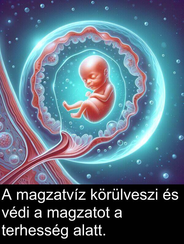 magzatvíz: A magzatvíz körülveszi és védi a magzatot a terhesség alatt.
