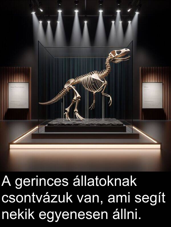 segít: A gerinces állatoknak csontvázuk van, ami segít nekik egyenesen állni.