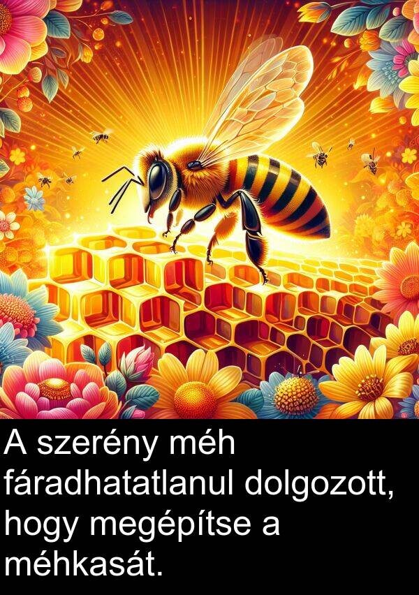 dolgozott: A szerény méh fáradhatatlanul dolgozott, hogy megépítse a méhkasát.