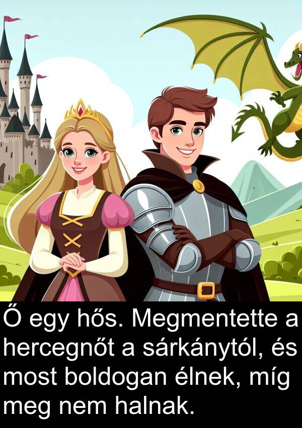sárkánytól: Ő egy hős. Megmentette a hercegnőt a sárkánytól, és most boldogan élnek, míg meg nem halnak.