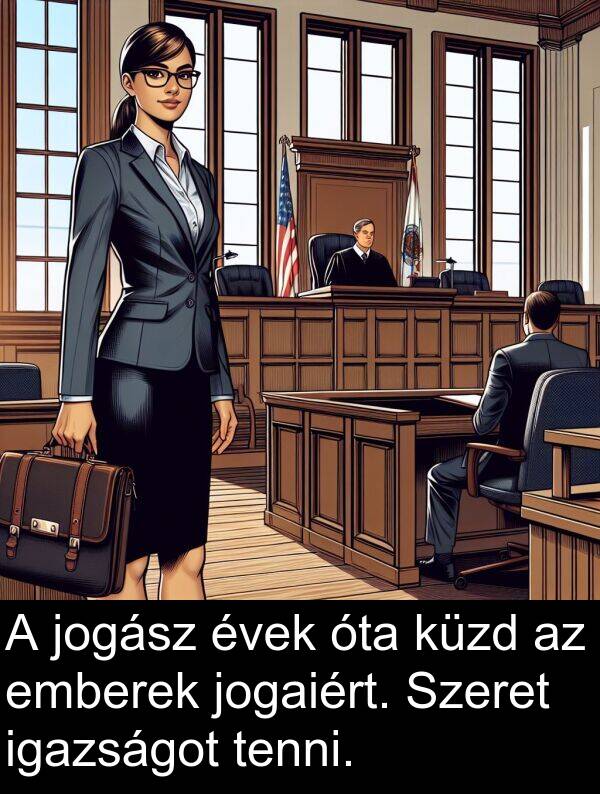 jogász: A jogász évek óta küzd az emberek jogaiért. Szeret igazságot tenni.