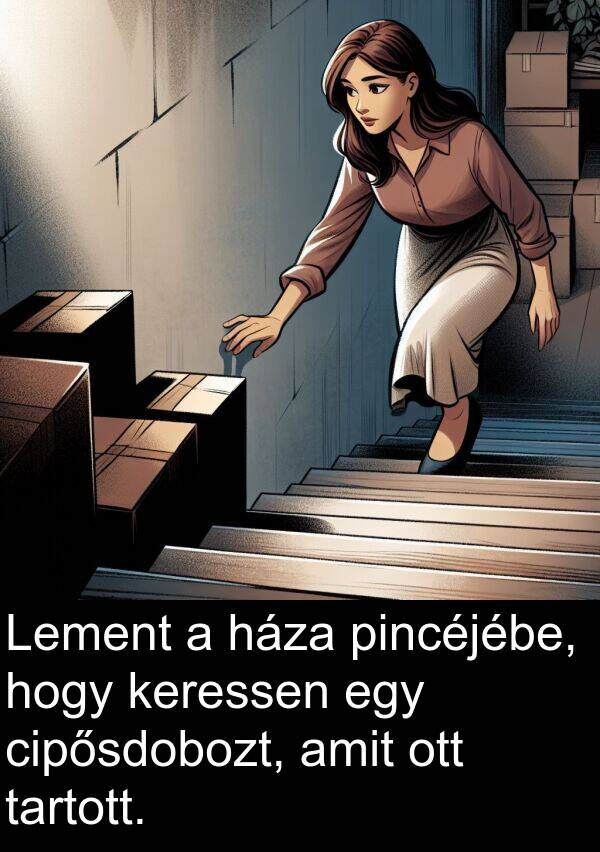 pincéjébe: Lement a háza pincéjébe, hogy keressen egy cipősdobozt, amit ott tartott.