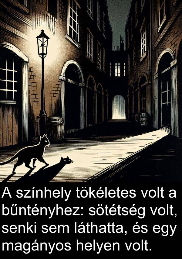 magányos: A színhely tökéletes volt a bűntényhez: sötétség volt, senki sem láthatta, és egy magányos helyen volt.