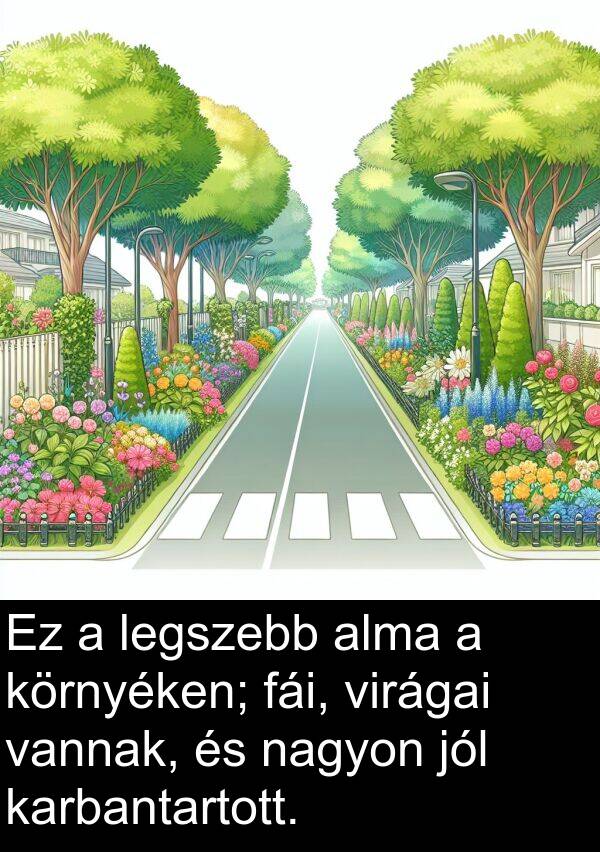 virágai: Ez a legszebb alma a környéken; fái, virágai vannak, és nagyon jól karbantartott.