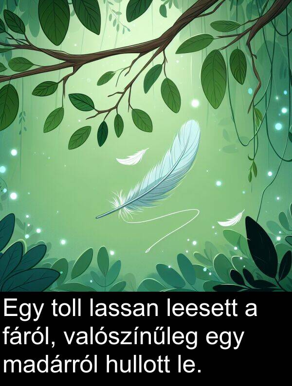 madárról: Egy toll lassan leesett a fáról, valószínűleg egy madárról hullott le.