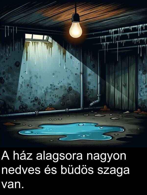 nedves: A ház alagsora nagyon nedves és büdös szaga van.