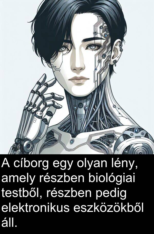 cíborg: A cíborg egy olyan lény, amely részben biológiai testből, részben pedig elektronikus eszközökből áll.