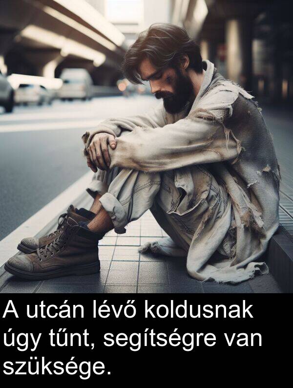 úgy: A utcán lévő koldusnak úgy tűnt, segítségre van szüksége.