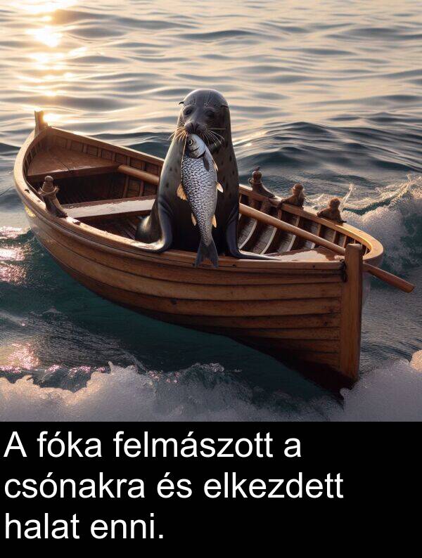 felmászott: A fóka felmászott a csónakra és elkezdett halat enni.