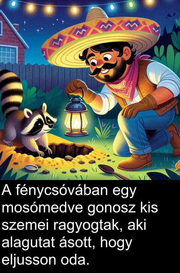 ragyogtak: A fénycsóvában egy mosómedve gonosz kis szemei ragyogtak, aki alagutat ásott, hogy eljusson oda.