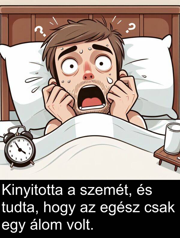 tudta: Kinyitotta a szemét, és tudta, hogy az egész csak egy álom volt.
