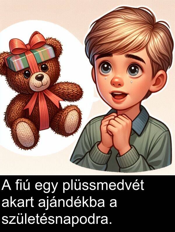 plüssmedvét: A fiú egy plüssmedvét akart ajándékba a születésnapodra.