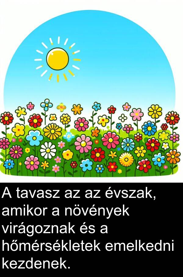 növények: A tavasz az az évszak, amikor a növények virágoznak és a hőmérsékletek emelkedni kezdenek.