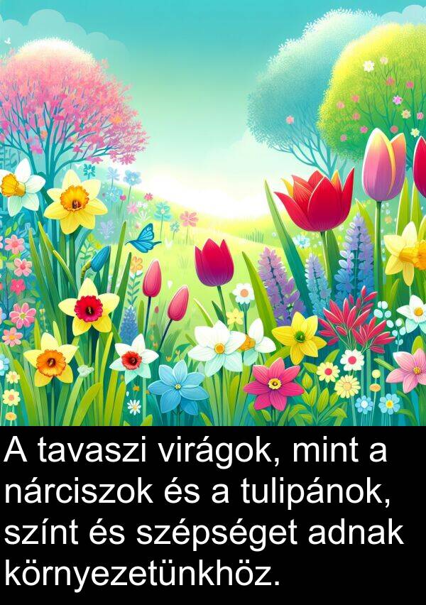 adnak: A tavaszi virágok, mint a nárciszok és a tulipánok, színt és szépséget adnak környezetünkhöz.