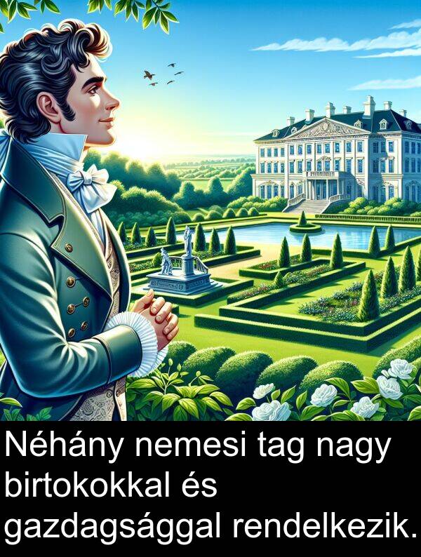 tag: Néhány nemesi tag nagy birtokokkal és gazdagsággal rendelkezik.