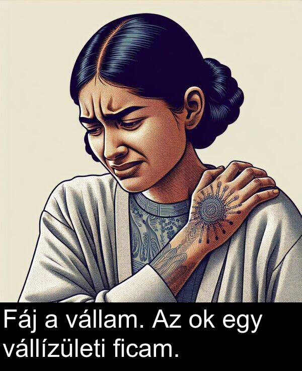 vállam: Fáj a vállam. Az ok egy vállízületi ficam.
