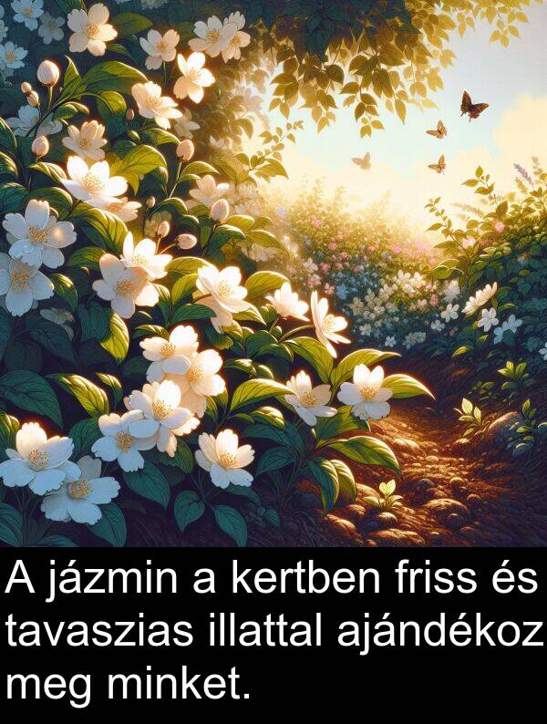 jázmin: A jázmin a kertben friss és tavaszias illattal ajándékoz meg minket.