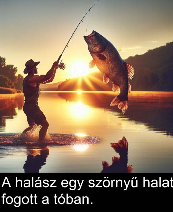szörnyű: A halász egy szörnyű halat fogott a tóban.