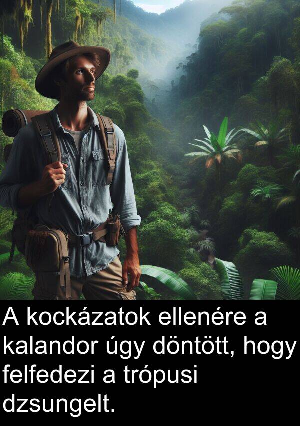 úgy: A kockázatok ellenére a kalandor úgy döntött, hogy felfedezi a trópusi dzsungelt.