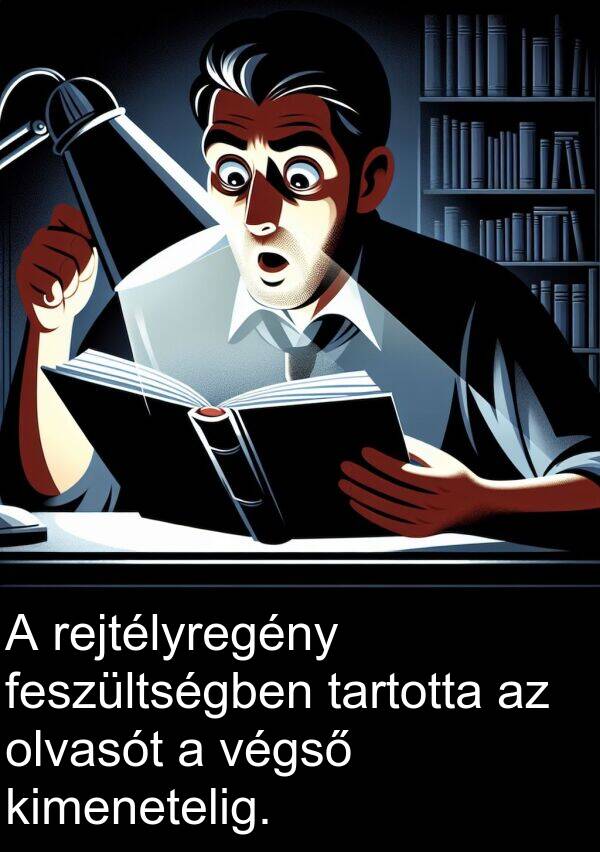 olvasót: A rejtélyregény feszültségben tartotta az olvasót a végső kimenetelig.