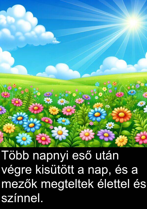 napnyi: Több napnyi eső után végre kisütött a nap, és a mezők megteltek élettel és színnel.