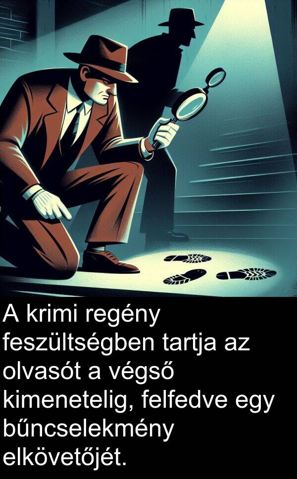 olvasót: A krimi regény feszültségben tartja az olvasót a végső kimenetelig, felfedve egy bűncselekmény elkövetőjét.