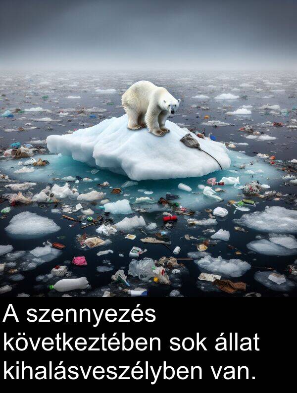 szennyezés: A szennyezés következtében sok állat kihalásveszélyben van.