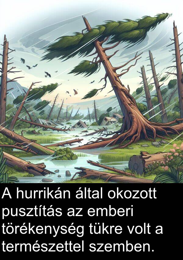 okozott: A hurrikán által okozott pusztítás az emberi törékenység tükre volt a természettel szemben.