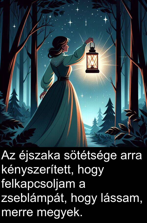 zseblámpát: Az éjszaka sötétsége arra kényszerített, hogy felkapcsoljam a zseblámpát, hogy lássam, merre megyek.