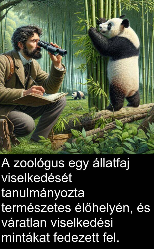 zoológus: A zoológus egy állatfaj viselkedését tanulmányozta természetes élőhelyén, és váratlan viselkedési mintákat fedezett fel.
