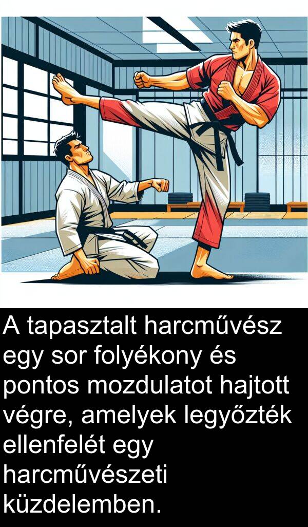 pontos: A tapasztalt harcművész egy sor folyékony és pontos mozdulatot hajtott végre, amelyek legyőzték ellenfelét egy harcművészeti küzdelemben.