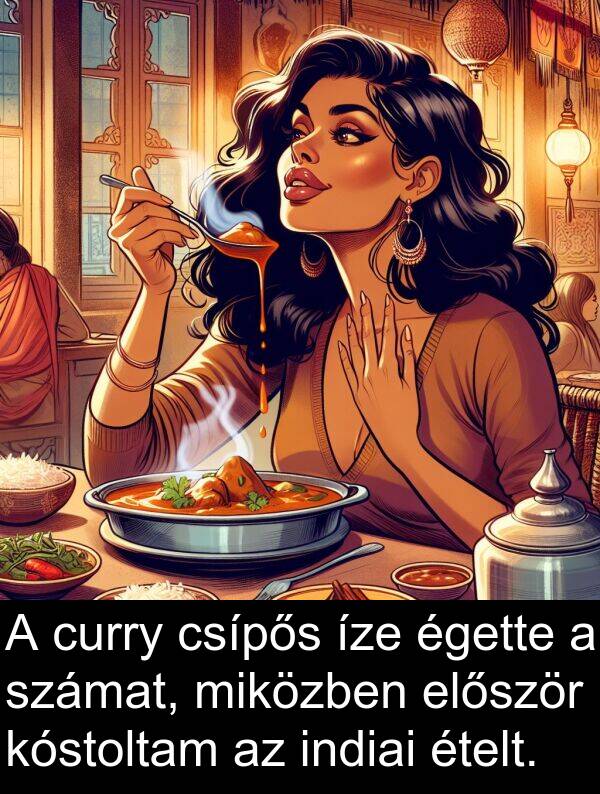curry: A curry csípős íze égette a számat, miközben először kóstoltam az indiai ételt.