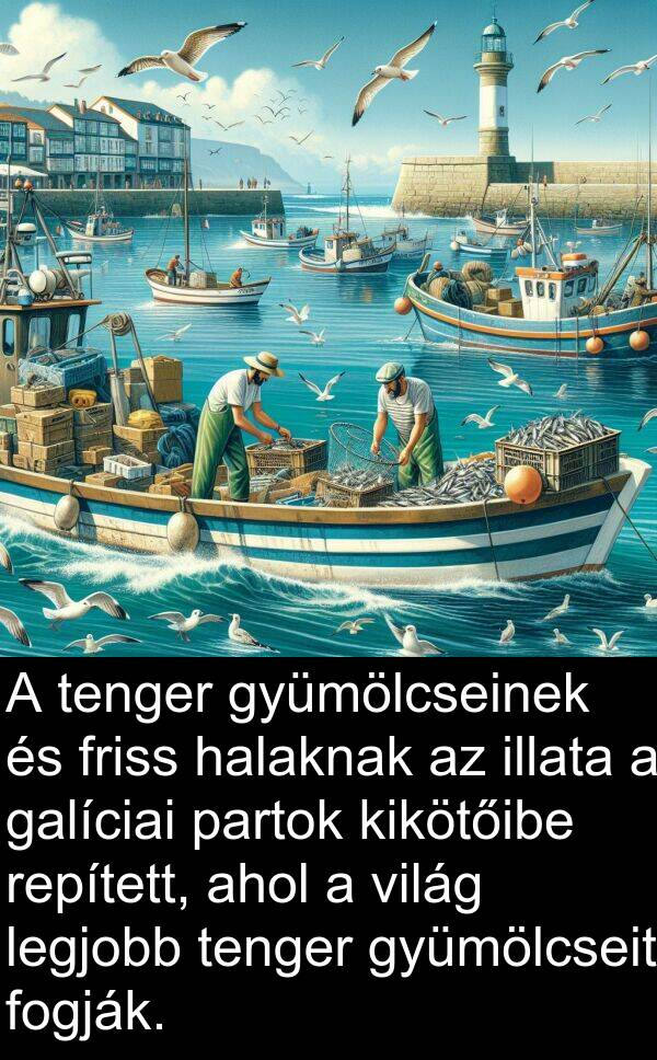 világ: A tenger gyümölcseinek és friss halaknak az illata a galíciai partok kikötőibe repített, ahol a világ legjobb tenger gyümölcseit fogják.