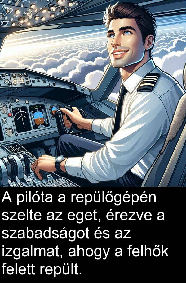 pilóta: A pilóta a repülőgépén szelte az eget, érezve a szabadságot és az izgalmat, ahogy a felhők felett repült.