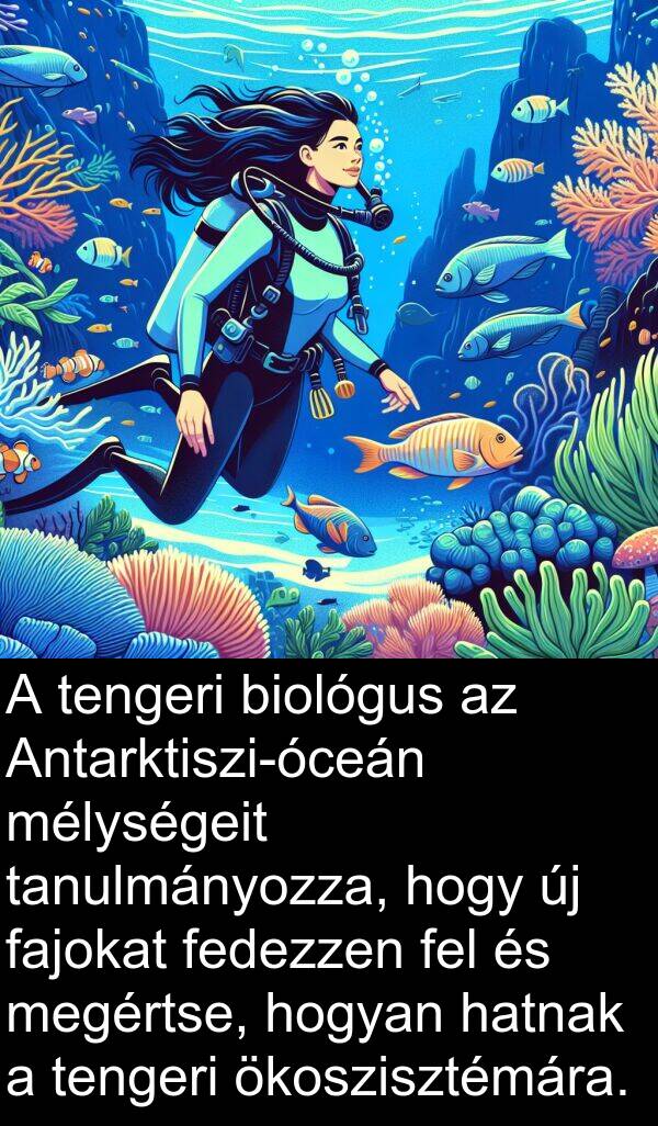 ökoszisztémára: A tengeri biológus az Antarktiszi-óceán mélységeit tanulmányozza, hogy új fajokat fedezzen fel és megértse, hogyan hatnak a tengeri ökoszisztémára.
