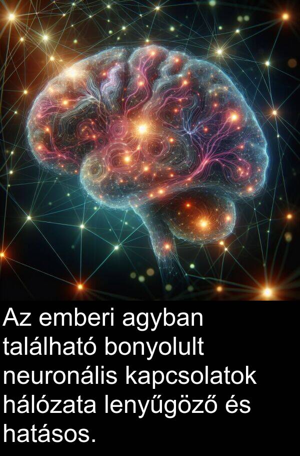 található: Az emberi agyban található bonyolult neuronális kapcsolatok hálózata lenyűgöző és hatásos.